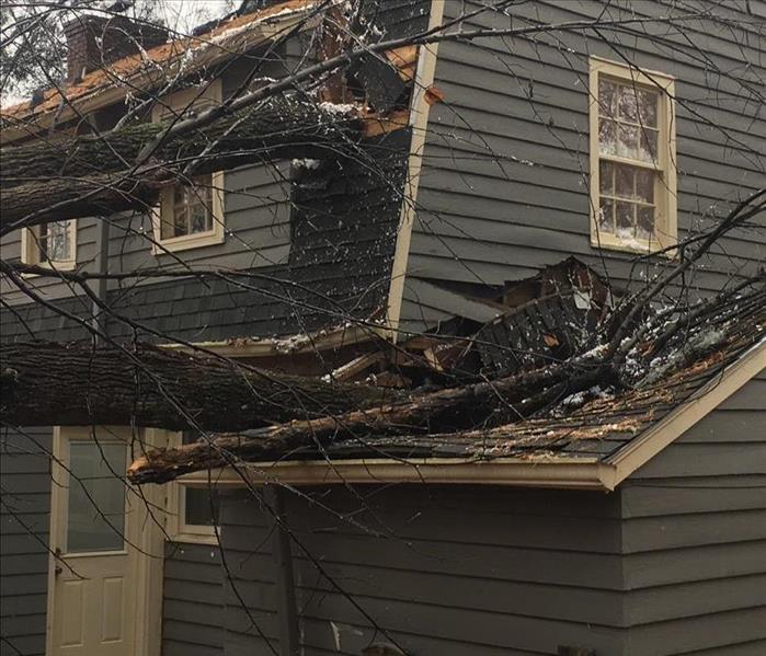 Residential two story home with dark siding suffered damage from fallen trees